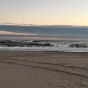 Meet your Posher, Deirdre